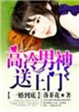 一婚到底,高冷男神送上门封面
