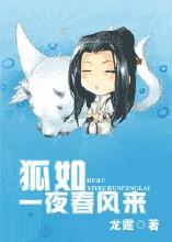 狐如一夜春风来 龙霆封面