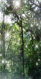 眺望天堂以北封面