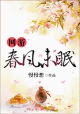 网游春风未眠封面