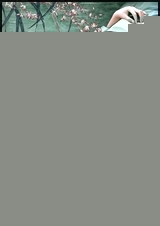 憨情美杜莎封面