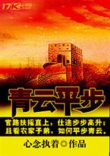 青云平步封面