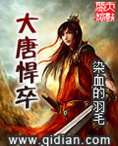 大唐悍卒封面