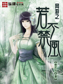 网游之若不禁风封面