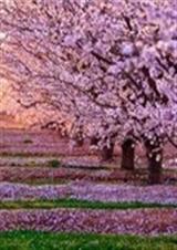 �Ҹ�Ե�ڵȴ�����