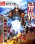 异界之雷法师 异界之雷法师