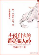 小说什么的都是骗人的封面