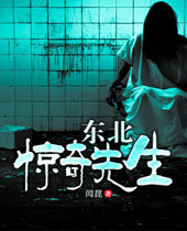 东北惊奇先生封面