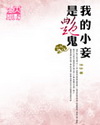 我的小妾是艳鬼封面