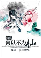 何以不为仙封面