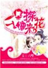 һ��̽����ǽ������