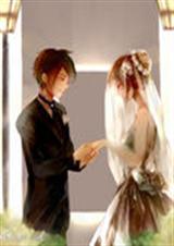 �������Ĳ�������