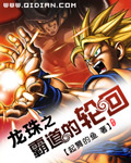 龙珠之霸道的轮回 龙珠之霸道的轮回