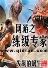 网游之练级专家 全集 网游之练级专家 全集