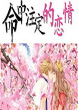 命中注定的恋情封面