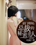 豪门绯闻:总裁的秘密恋人封面