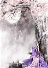 倾凤花漫天封面