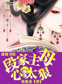 段家主母心太狠封面