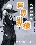 死神全职者异界纵横封面