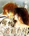 可怜盗贼自传封面
