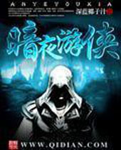 暗夜游侠 暗夜游侠