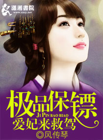 爱妃来救驾封面
