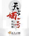 天字嫡一号封面