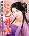 绝色神雕封面