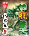神龙破天封面