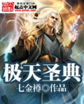 极天圣典封面