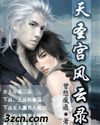 天圣宫风云录(暗香激荡)封面