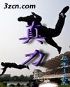 真力 真力