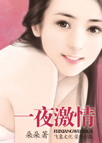 一夜激情封面