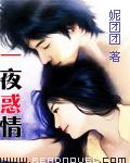 一夜惑情封面