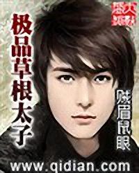 极品草根太子 极品草根太子