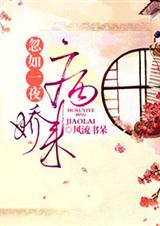 ����һҹ����������