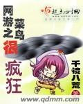 网游之菜鸟很疯狂 网游之菜鸟很疯狂
