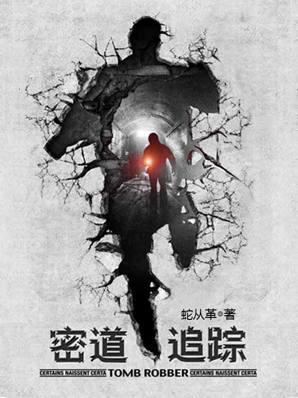 密道追踪(出书版)封面