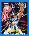 真龙奇幻封面