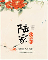 陆家小媳妇 陆家小媳妇