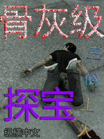 骨灰级探宝封面
