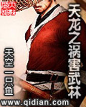 天龙之祸害武林封面