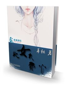 此女太费心封面