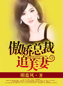 傲娇总裁追美妻封面