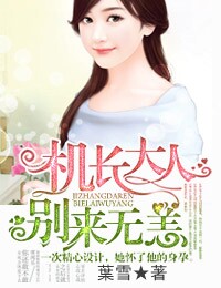 机长大人,别来无恙!封面