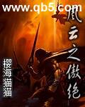 风云之傲绝封面