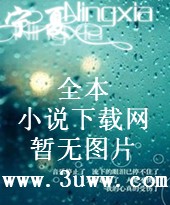 龙星风云录封面