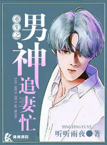 重生之男神追妻忙封面