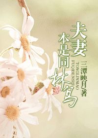 夫妻本是同林鸟封面