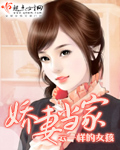 娇妻当家 娇妻当家